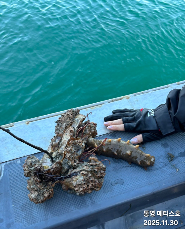 통영 메티스호_사진_20251201_11.jpg