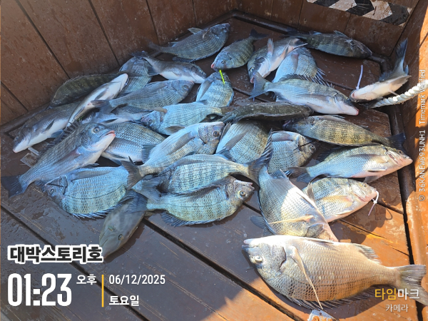 2025-12-06 01.23.32(1)__(대박스토리호).jpg