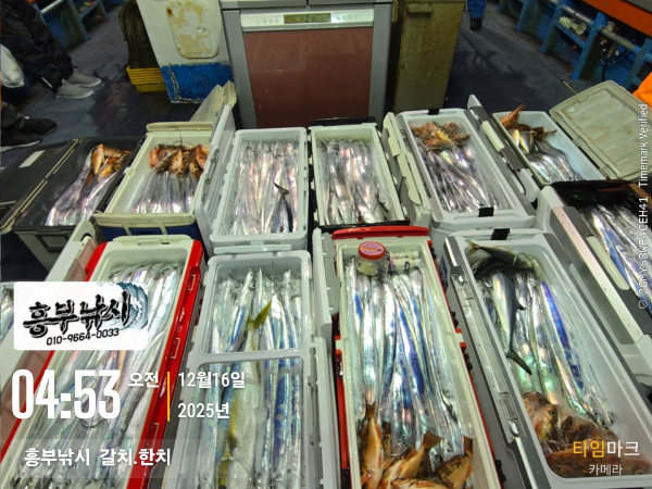 2025-12-16 04.53.48__(-흥부낚시  갈치.한치).jpg