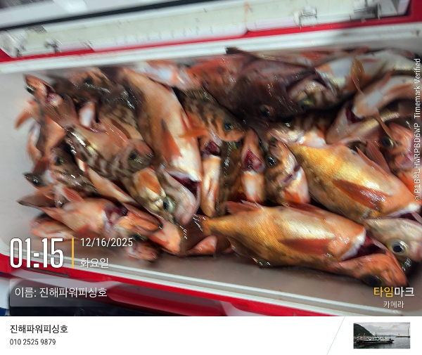 2025-12-16 01.15.25_(이름-진해파워피싱호).jpeg