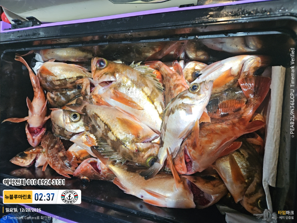 2025-12-28 02.37.37_대한민국_(제목-뉴블루마린호)_(예약전화 010 8924 3131).jpg