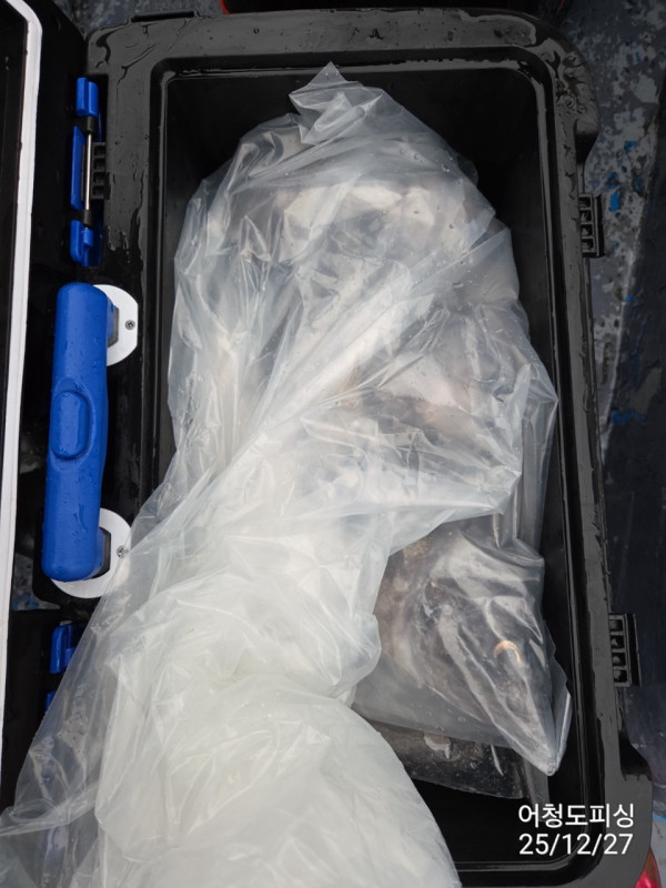 최강피싱 063.463.0800_사진_20251227_30.jpg