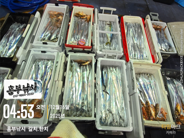 2025-12-16 04.53.09__(-흥부낚시  갈치.한치).jpg