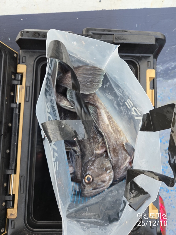 최강피싱 063.463.0800_사진_20251211_45 - 복사본.jpg