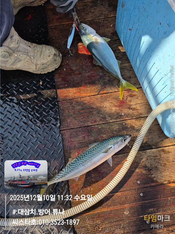 2025-12-10 11.32.37__(#-대삼치.방어.튜나)_(씨스타호-010-3523-1897).jpg
