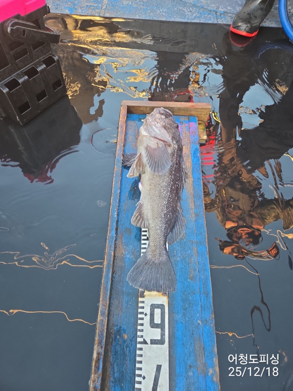 최강피싱 063.463.0800_사진_20251219_2.jpg