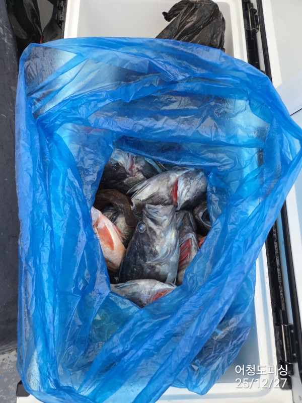 최강피싱 063.463.0800_사진_20251227_33.jpg