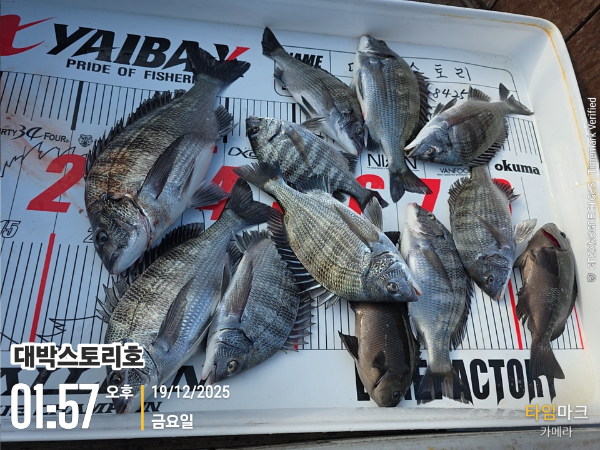 2025-12-19 01.57.01__(대박스토리호).jpg