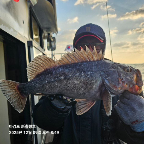 ꫛꫀꪝ✧‧˚ 태안 마검포 新출항호 .• _˚☀₊_사진_20251209_3.jpg