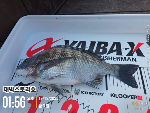 2025-12-19 01.56.41__(대박스토리호).jpg