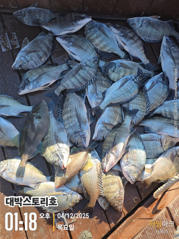 2025-12-04 01.18.57__(대박스토리호).jpg