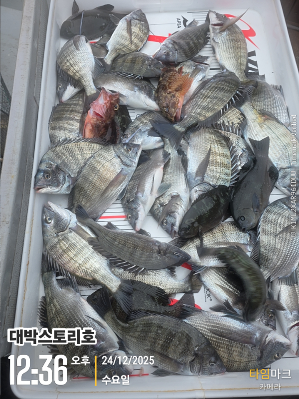 2025-12-24 12.36.02__(대박스토리호).jpg