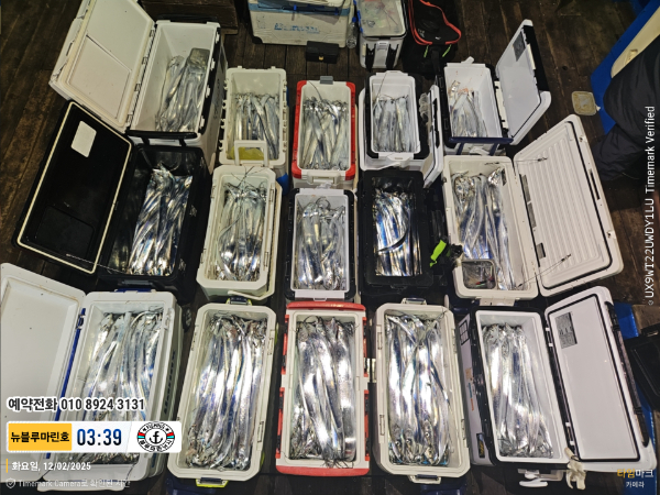 2025-12-02 03.39.15__(제목-뉴블루마린호)_(예약전화 010 8924 3131).jpg