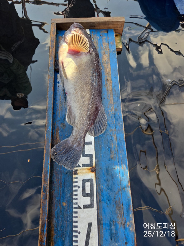 최강피싱 063.463.0800_사진_20251219_12.jpg