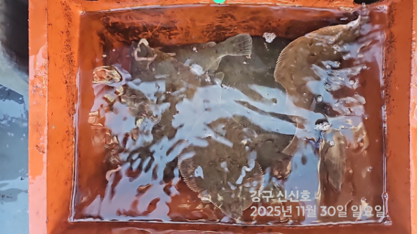 신신낚시 강구점 신신호_사진_20251130_10.jpg