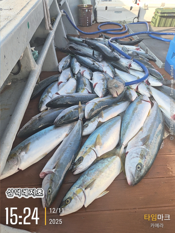 2025-12-11 15.24.08_.jpg