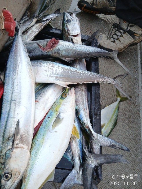 KakaoTalk_20251130_185422243 (1).jpg