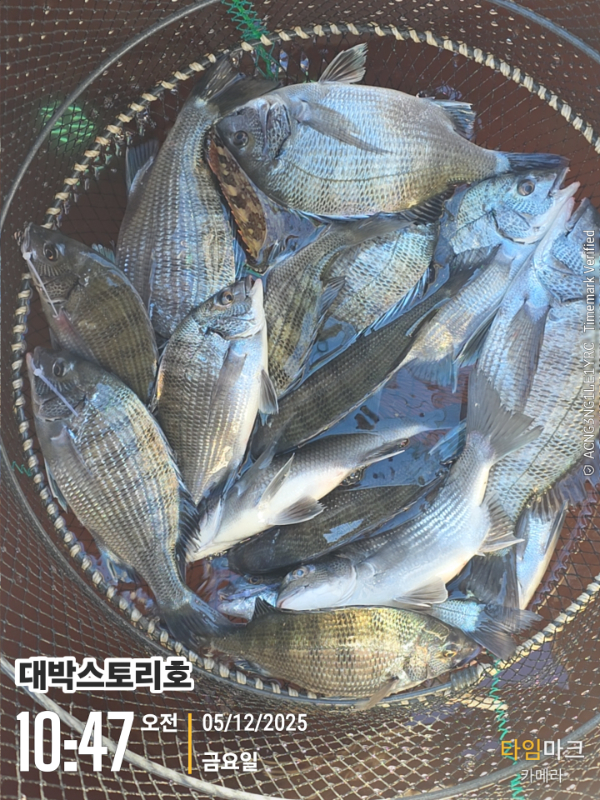 2025-12-05 10.47.26__(대박스토리호).jpg