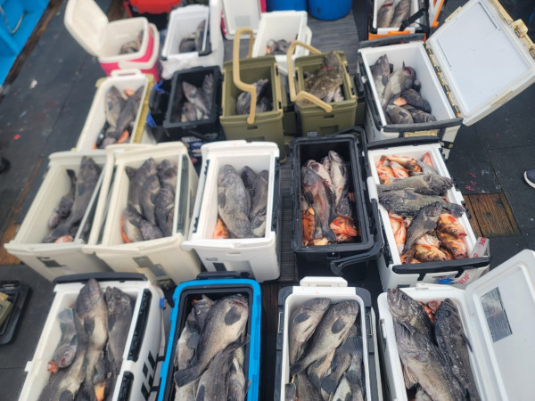 군산 선상낚시, 바다낚시 출조 전문 ☆서군산낚시☆_사진_20251210_2.jpg