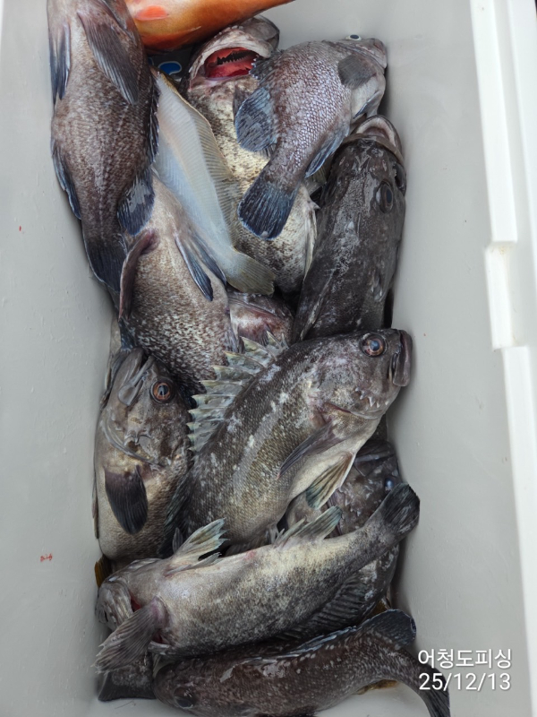 최강피싱 063.463.0800_사진_20251213_45.jpg