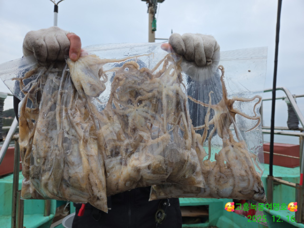 쎄븐피싱클럽(선상 버스출조전문)_사진_20251217_1.jpg