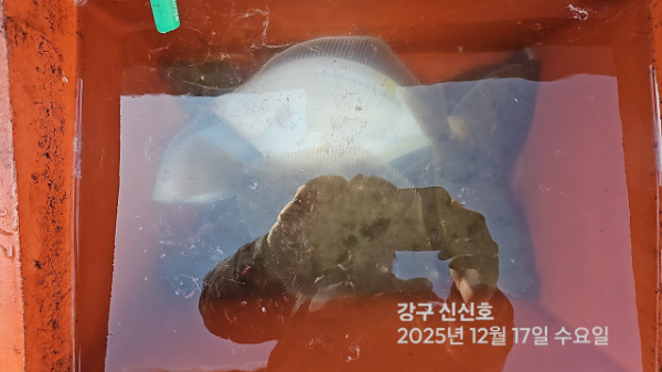 신신낚시 강구점 신신호_사진_20251217_4.jpg