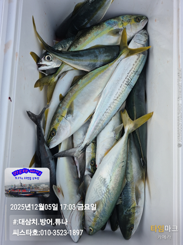 2025-12-05 17.03.53__(#-대삼치.방어.튜나)_(씨스타호-010-3523-1897).jpg
