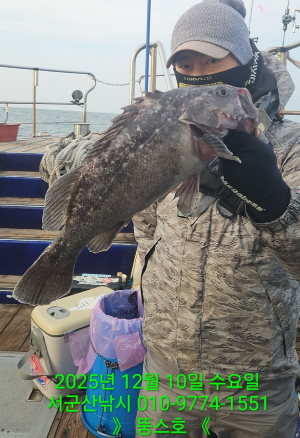 군산 선상낚시, 바다낚시 출조 전문 ☆서군산낚시☆_사진_20251210_9.jpg