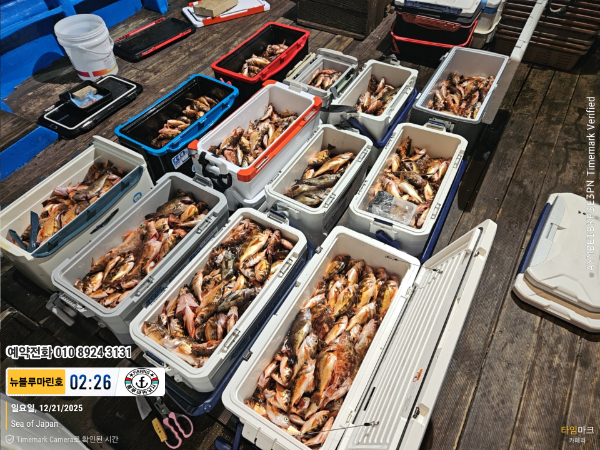 2025-12-21 02.26.41_Japan_(제목-뉴블루마린호)_(예약전화 010 8924 3131).jpg