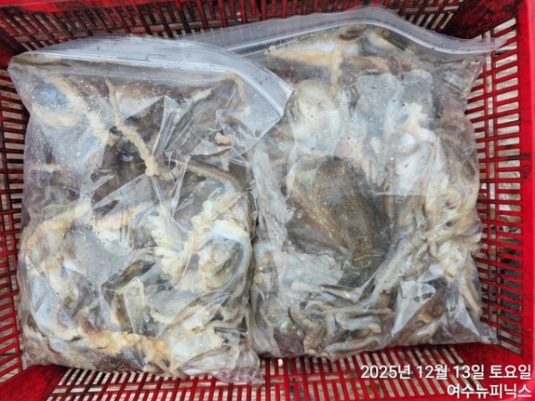 13일왕쭈꾸미.낙지 (2).jpg