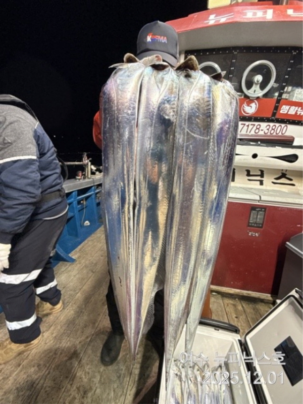 20912월2일갈치 (45).jpg