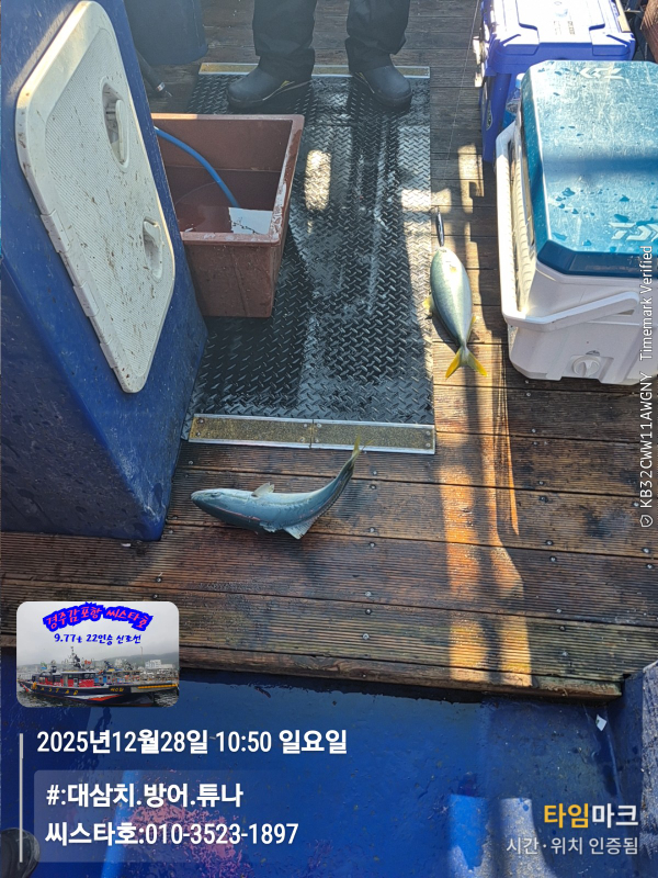 2025-12-28 10.50.18__(#-대삼치.방어.튜나)_(씨스타호-010-3523-1897).jpg