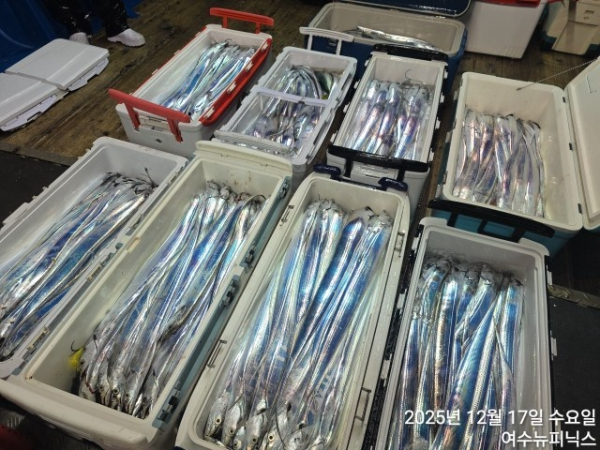 12월17일대갈치 (55).jpg