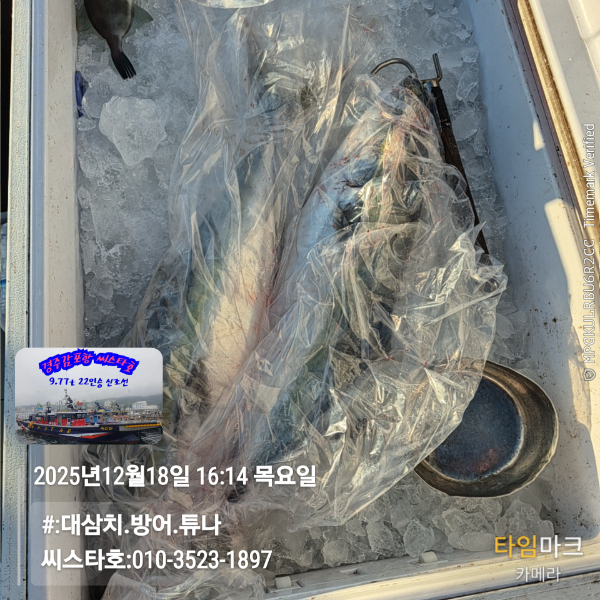 2025-12-18 16.14.57__(#-대삼치.방어.튜나)_(씨스타호-010-3523-1897).jpg