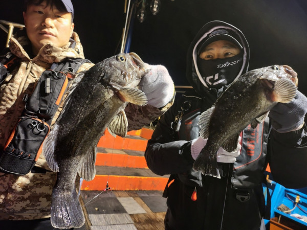 군산 선상낚시, 바다낚시 출조 전문 ☆서군산낚시☆_사진_20251219_8.jpg