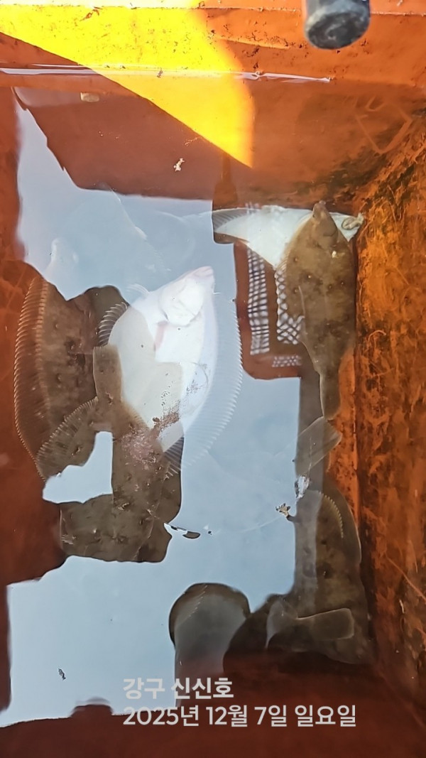 신신낚시 강구점 신신호_사진_20251207_6.jpg