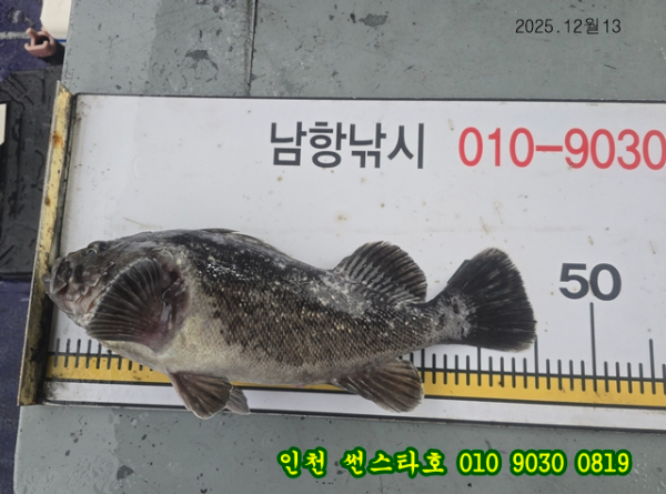 12월13 썬 (38).jpg