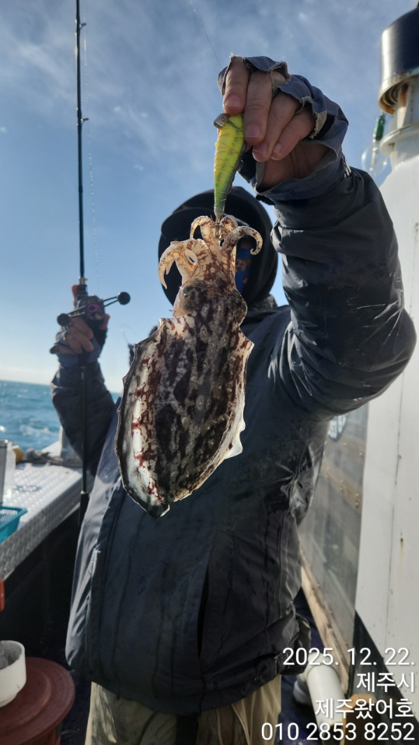 제주왔어호_사진_20251222_20.jpg