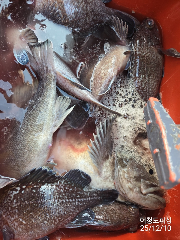 최강피싱 063.463.0800_사진_20251211_31 - 복사본.jpg