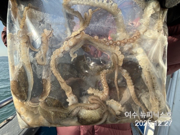 12월27일쭈꾸미 (20).jpg