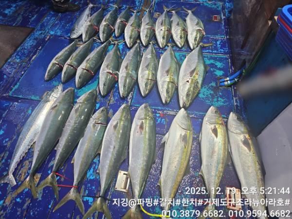 거제도 구조라  뉴아라호 (지깅, 파핑,한치,갈치,타이바라 전문)_사진_20251220_1.jpg