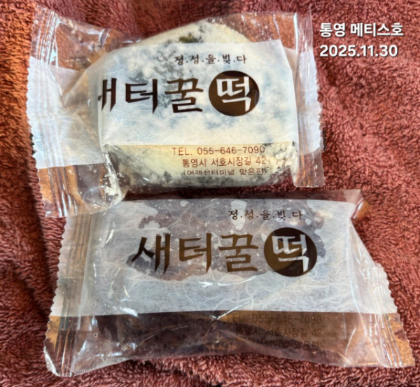 통영 메티스호_사진_20251201_2.jpg