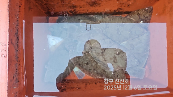 신신낚시 강구점 신신호_사진_20251206_6.jpg