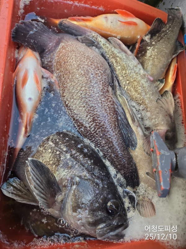 최강피싱 063.463.0800_사진_20251211_28 - 복사본.jpg