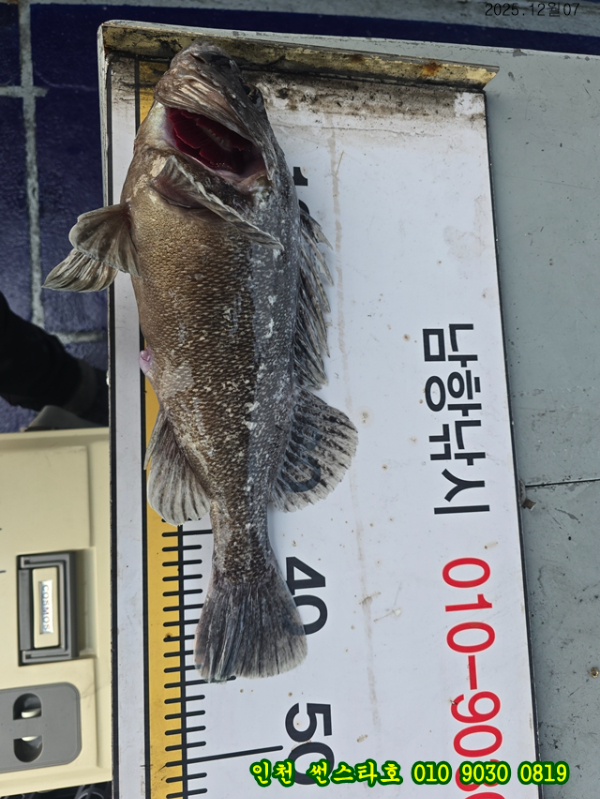 12월07 썬 (26).jpg