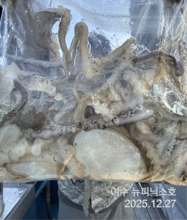 20912월27일쭈꾸미 (3).jpg