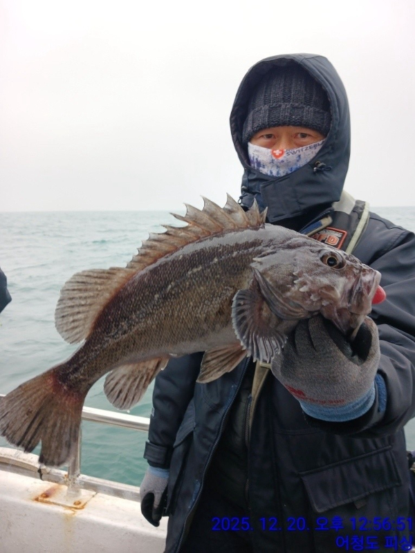 최강피싱 063.463.0800_사진_20251221_12.jpg