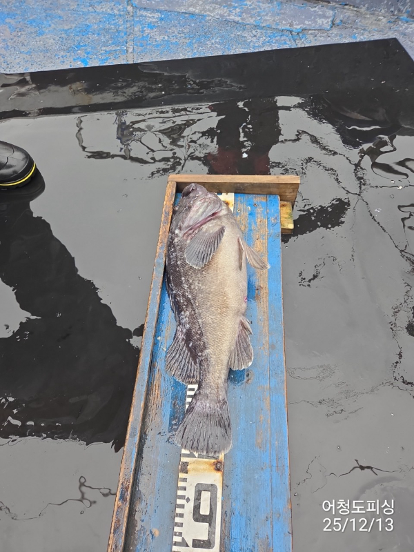 최강피싱 063.463.0800_사진_20251213_3.jpg