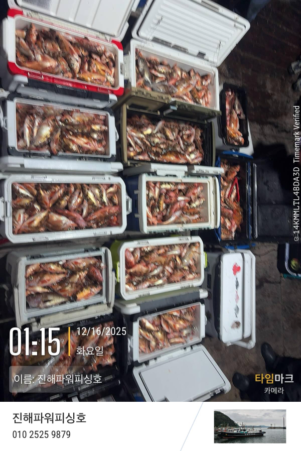 2025-12-16 01.15.49_(이름-진해파워피싱호).jpeg