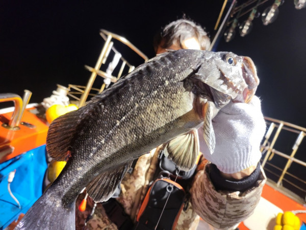 군산 선상낚시, 바다낚시 출조 전문 ☆서군산낚시☆_사진_20251219_10.jpg